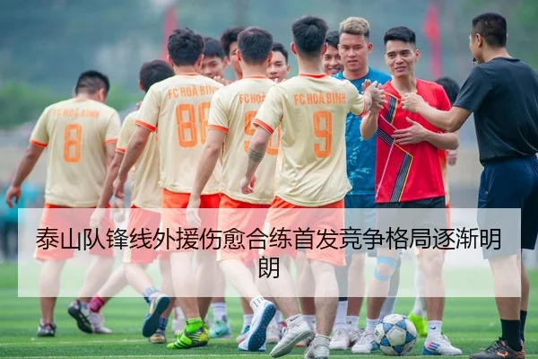 泰山队锋线外援伤愈合练首发竞争格局逐渐明朗